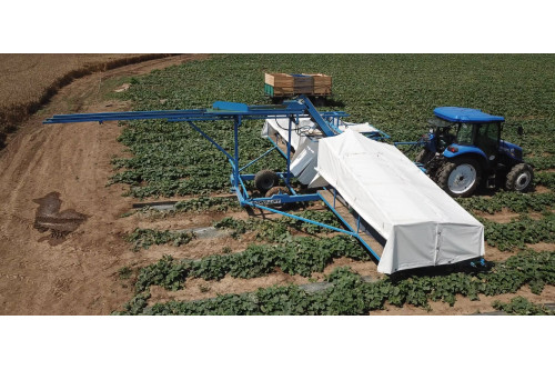 Kombajn do ogórków